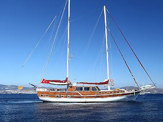 Gulet-Perrinita