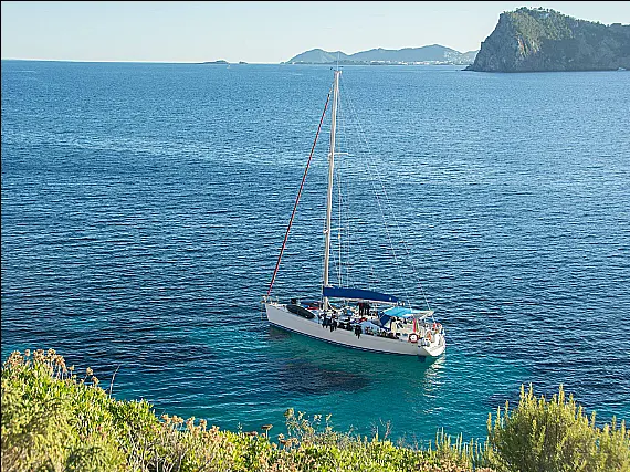 Cyclades 50.5