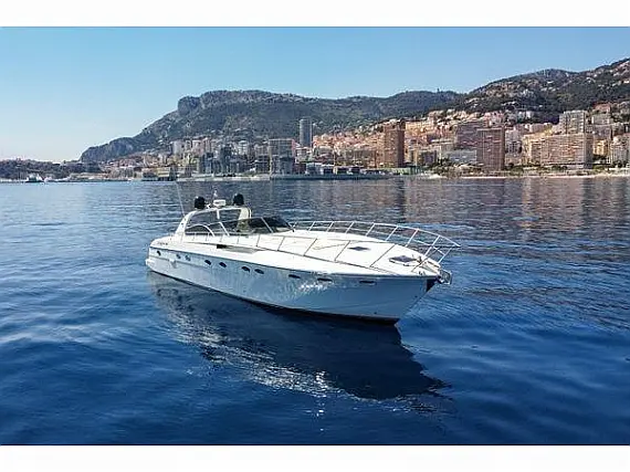 Rizzardi 50 Top Line