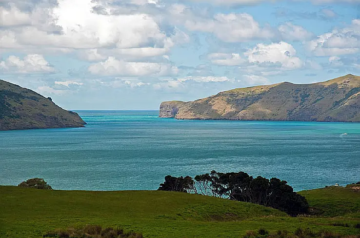  © Phillip Capper from Wellington, New Zealand CC BY 2.0