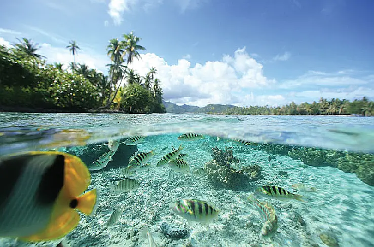  © tahiti yachtcharter