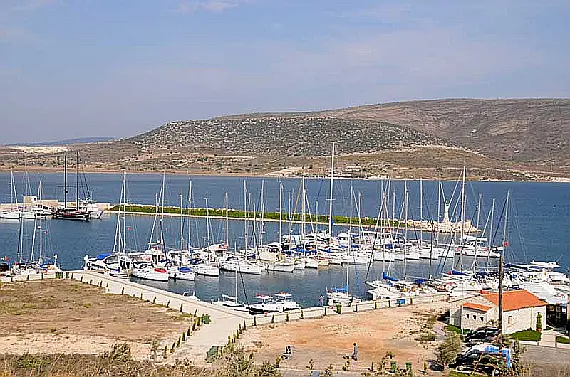  © David Broad CC BY 3.0 